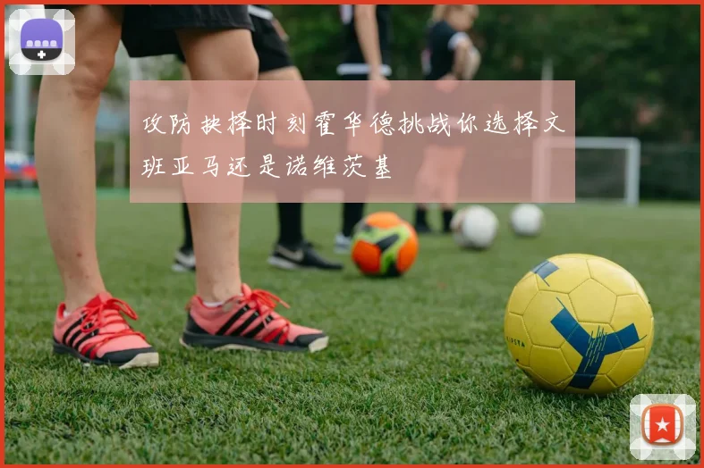 攻防抉择时刻霍华德挑战你选择文班亚马还是诺维茨基